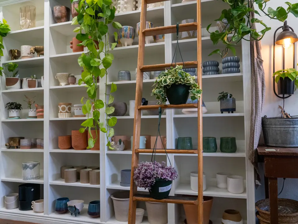 Tienda-taller de cerámica con estanterías llenas de piezas y plantas